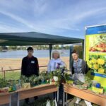 Ярмарка розсади